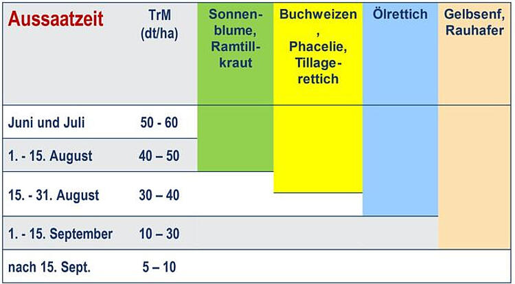 Statistik über die Aussaatzeit verschiedener Zwischenfrüchte.