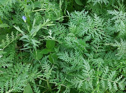 20251010_165828.jpg