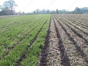Abb. 4: Gülle-Strip-Till in viterra® UNIVERSAL WINTER (linke Seite)