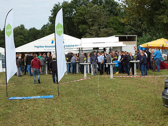 Gut besuchte Pavillons auf einem Feld. Am Eingang stehen Beachflags mit Logo von Avebe.