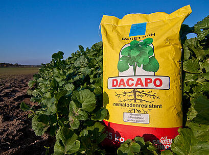 Ölrettich Dacapo, Sack