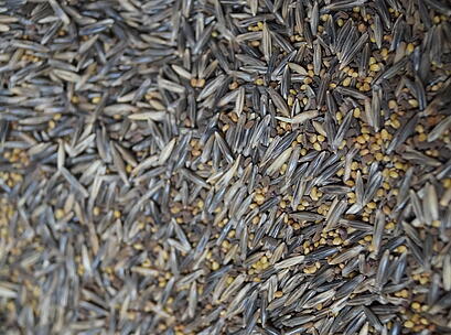 viterra ® UNIVERSAL, Saatgut