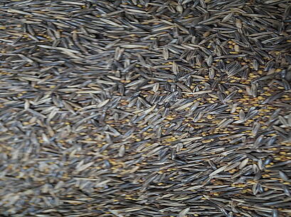 viterra ® UNIVERSAL, Saatgut