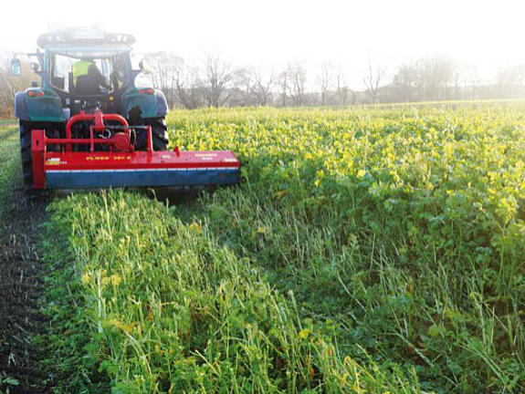 Greening und Agrarumweltmaßnahmen