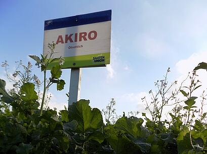 Ölrettich AKIRO, Feldschild