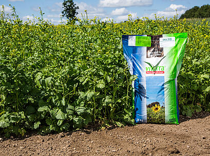 viterra ® Rübe, Sack auf Feld