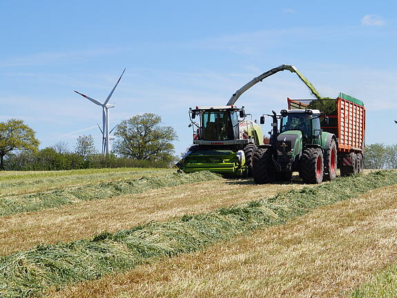 Winter rye PROTECTOR