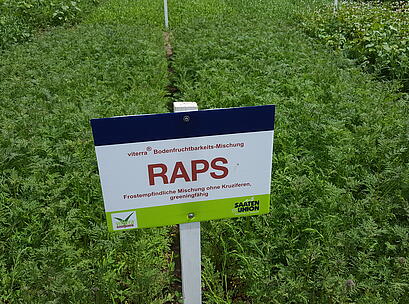 viterra® Raps, Feldschild vor Parzelle