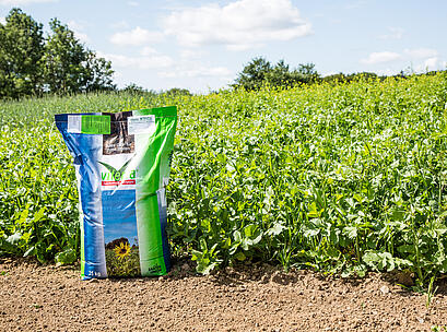 viterra® Intensiv, Sack auf Feld