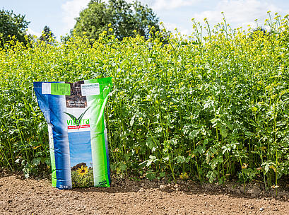 viterra ® Schnellgrün, Sack auf Feld