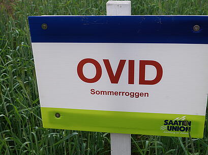 Sommerroggen OVID, Feldschild