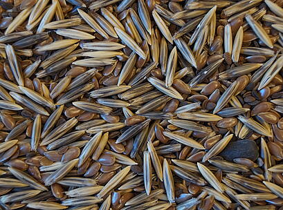 viterra UNIVERSAL LEGUMINOSENFREI, Saatgut