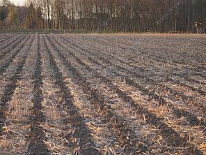Abb. 3: Gülle-Strip-Till in viterra® MULCH