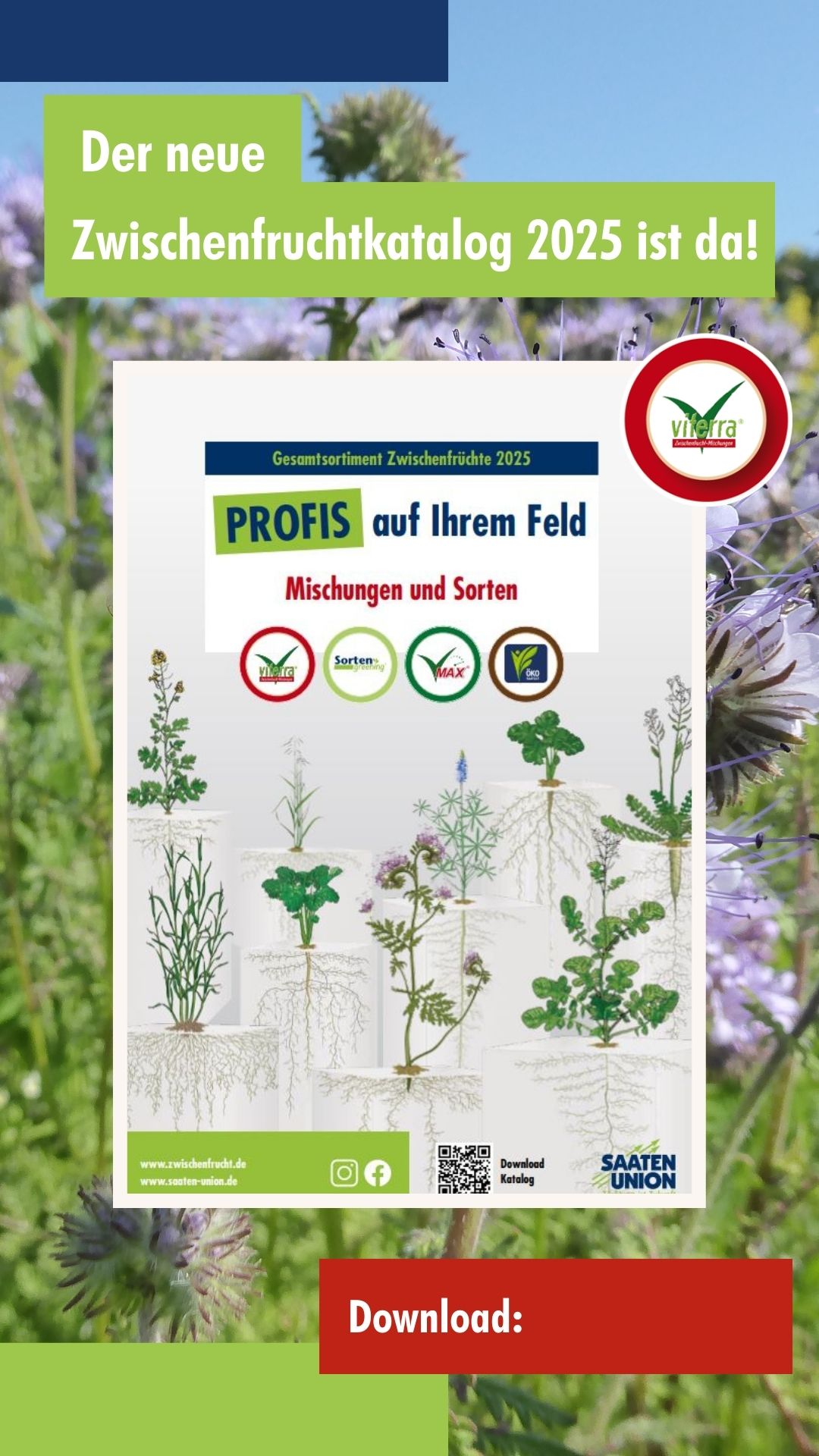 Der neue Zwischenfrucht-Katalog 2025 ist da